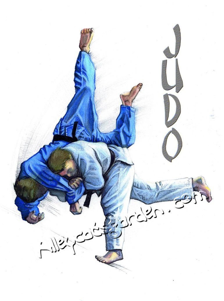 Judo обои крутые