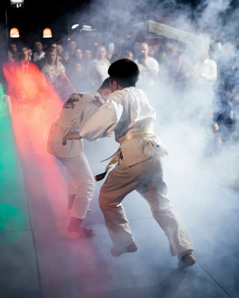 828x1035  Тхэквондо обои на телефон (15 фото)