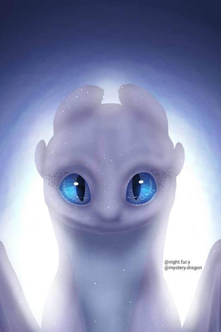 750x1125  Ночная фурия обои на телефон - 65 фото