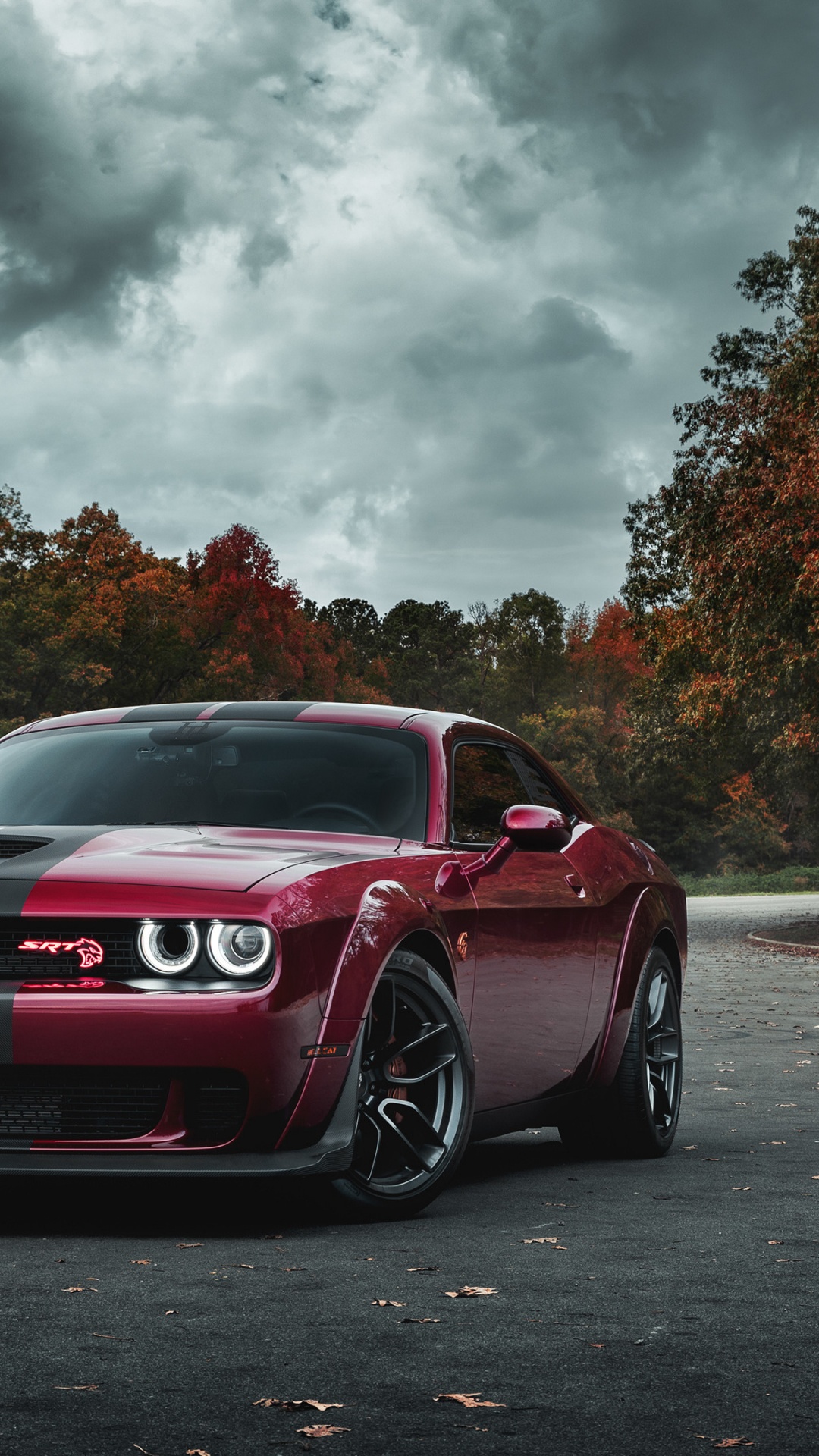 1080x1920  Обои Додж Чарджер СРТ мегеру, 2017 Додж Челленджер, dodge, Король, 2019 Додж  Челленджер СРТ мегеру на телефон Android, 1080x1920 картинки и фото  бесплатно