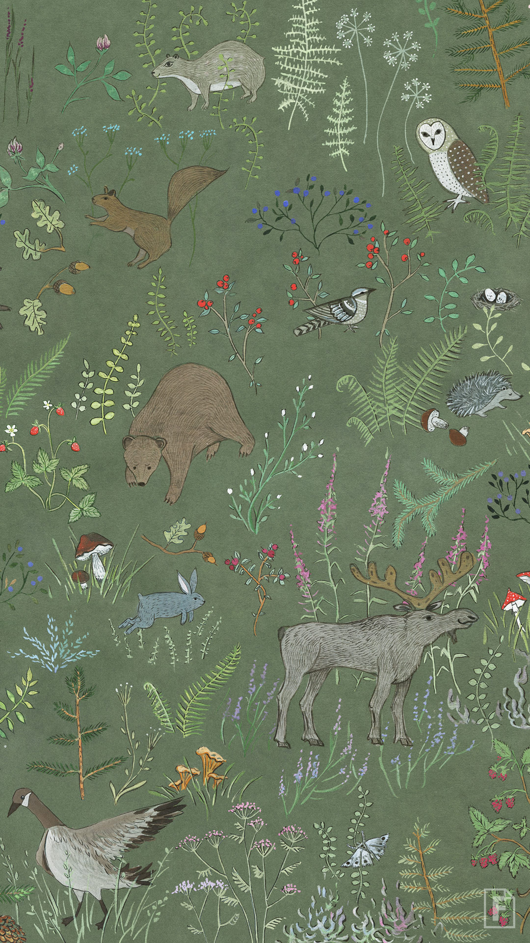 1080x1920  Заставки на телефон с деньгами 1080×1920 | Zamanilka