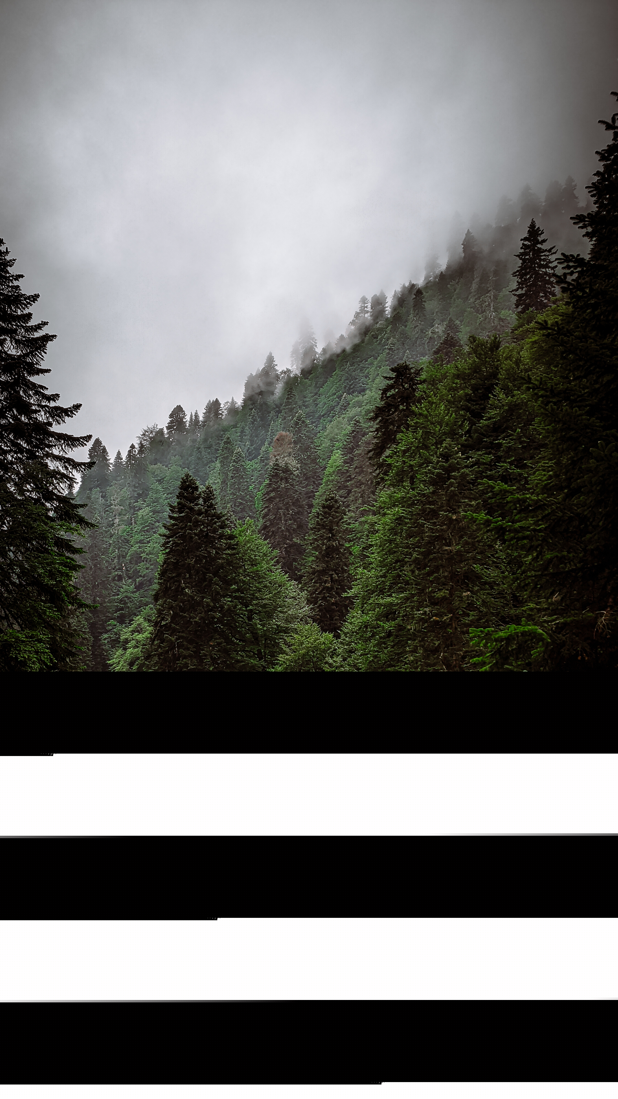 2048x3640  Обои для смартфона | Пикабу