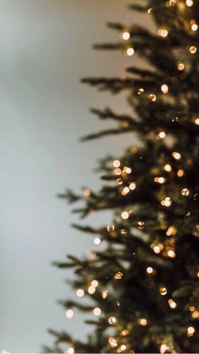 675x1200  author unknown // #обои #обоинателефон #обоидлятелефона #море #океан #снег  #зима… | Christmas tree wallpaper, Christmas lights wallpaper, Wallpaper  iphone christmas