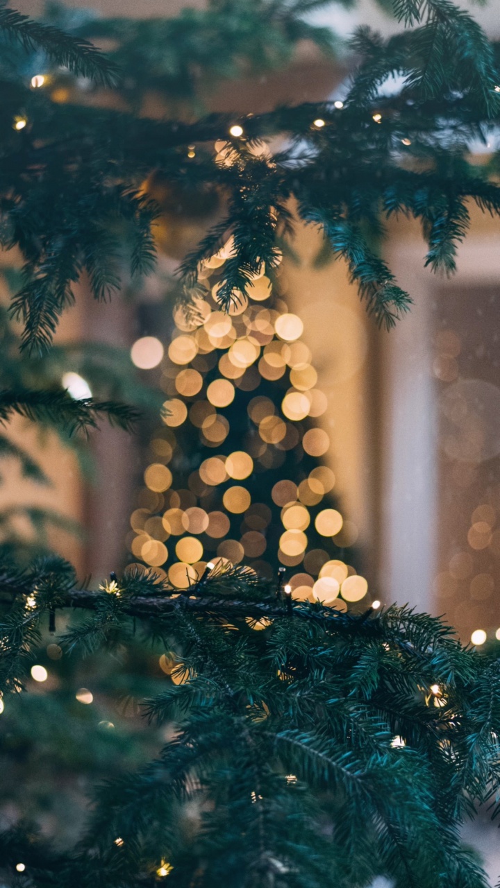 720x1280  Елка обои для телефона, HD заставки и картинки на экран блокировки 720x1280  | Akspic