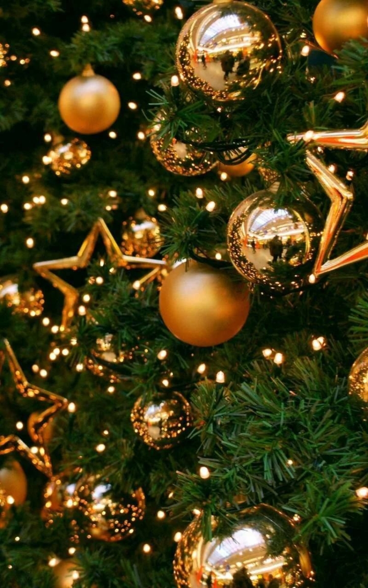 750x1200  Обои на телефон елочка - 66 фото