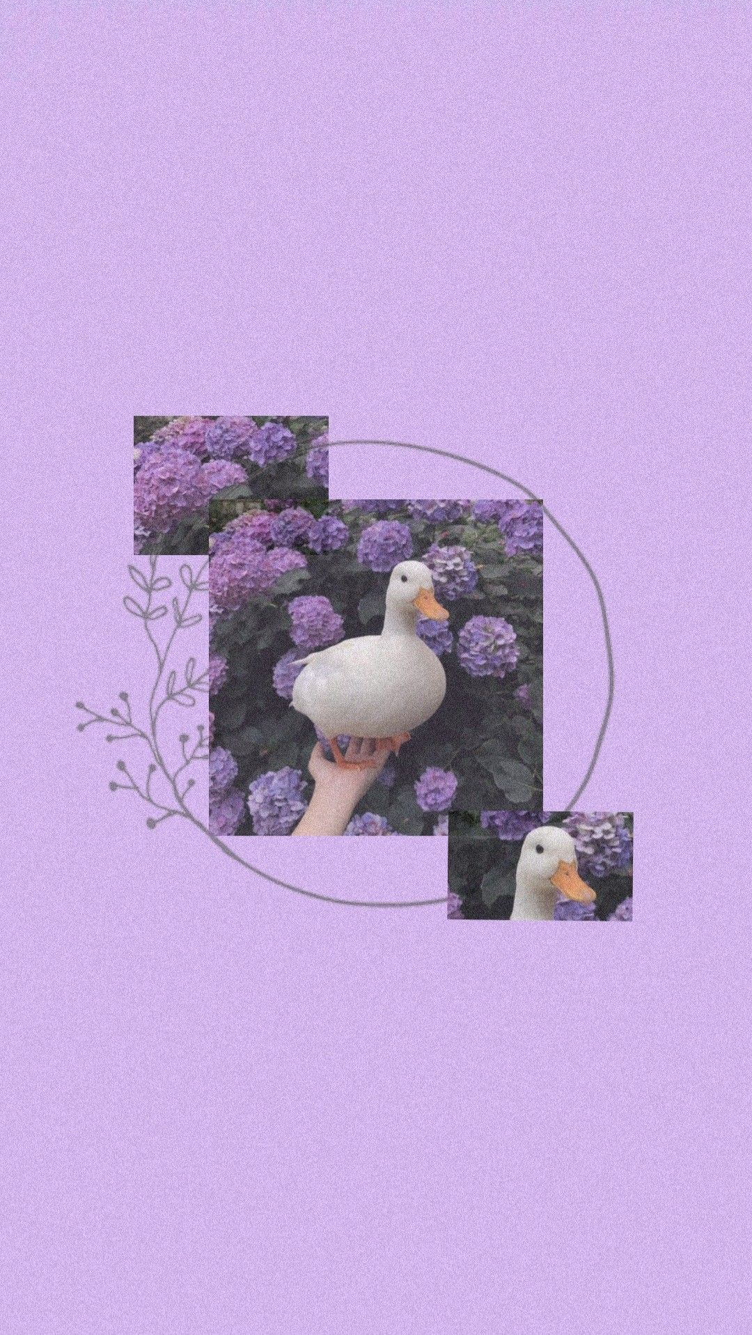 1080x1917  Обои с уточкой | Фиолетовые обои, Обои, Hello kitty обои