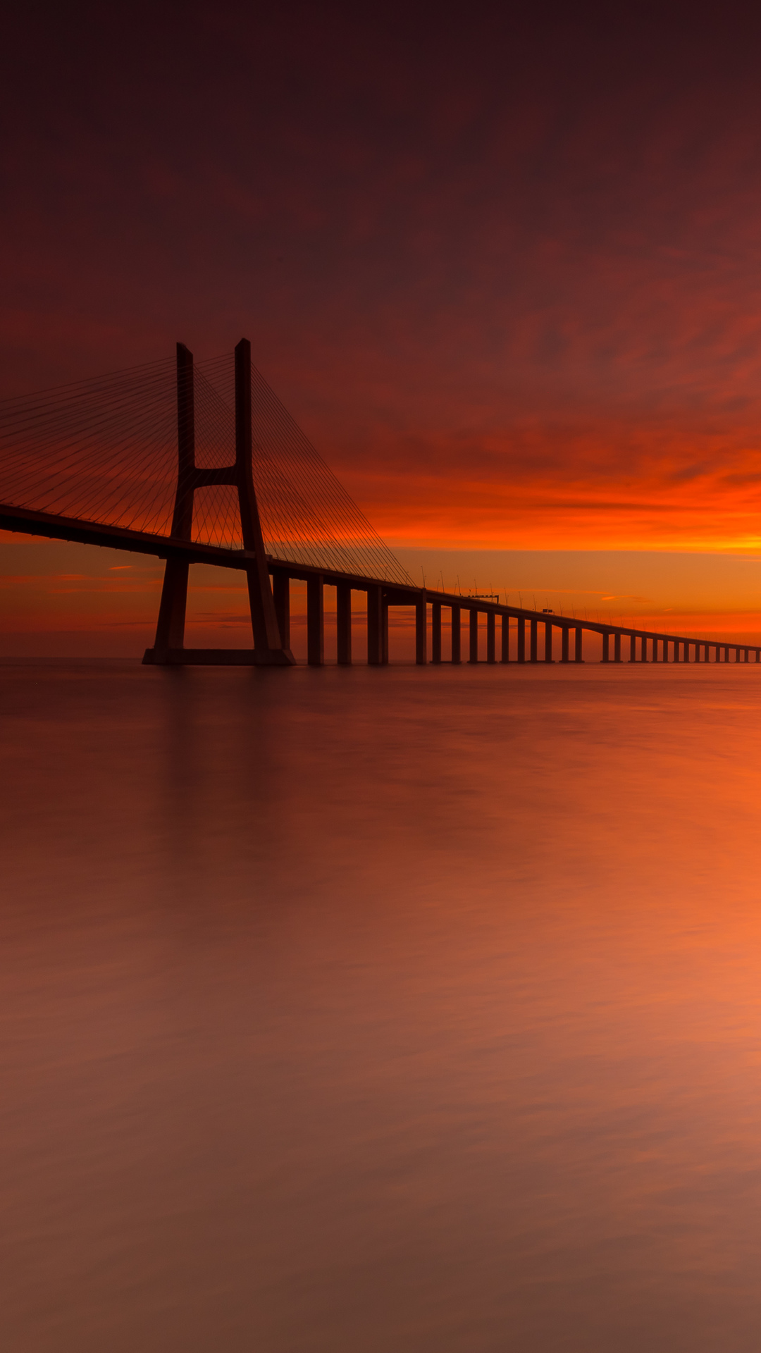 1080x1920  Мистические руины, покрытые виноградной лозой, и загадочные обои для  телефона | Премиум Фото