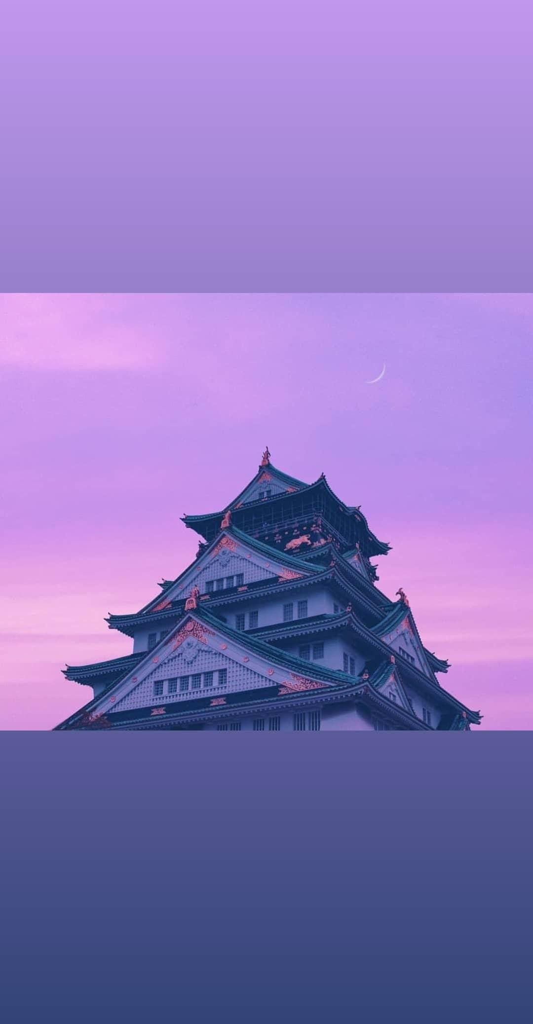 1080x2076  Обои wallpaper | Современный плакат, Фиолетовый закат, Закаты