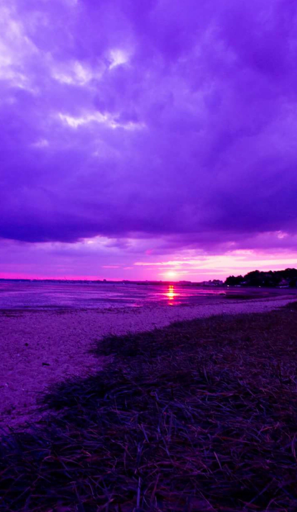 1242x2144  Красивый фиолетовый закат - 31 фото