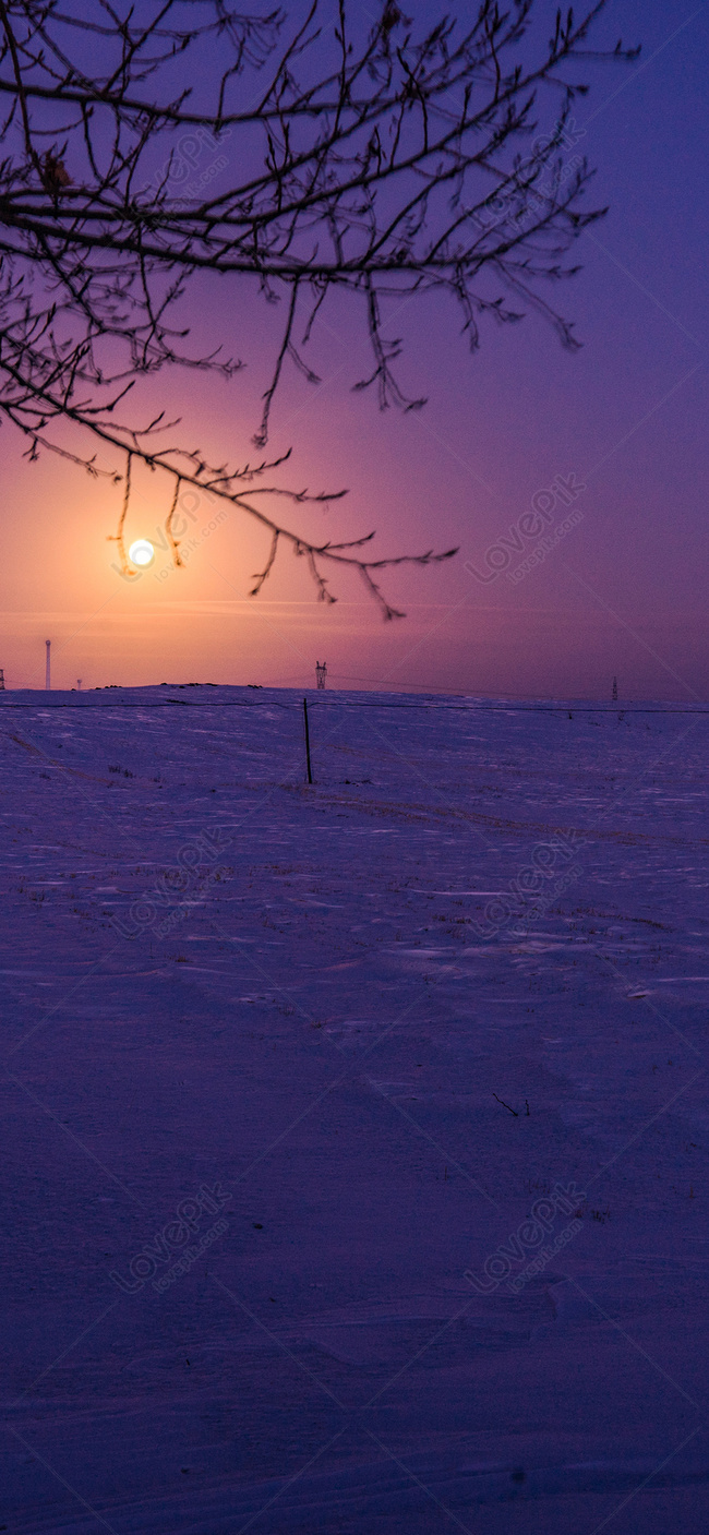 650x1407  Закат телефон обои изображение_Фото номер 400446154_JPG Формат  изображения_ru.lovepik.com