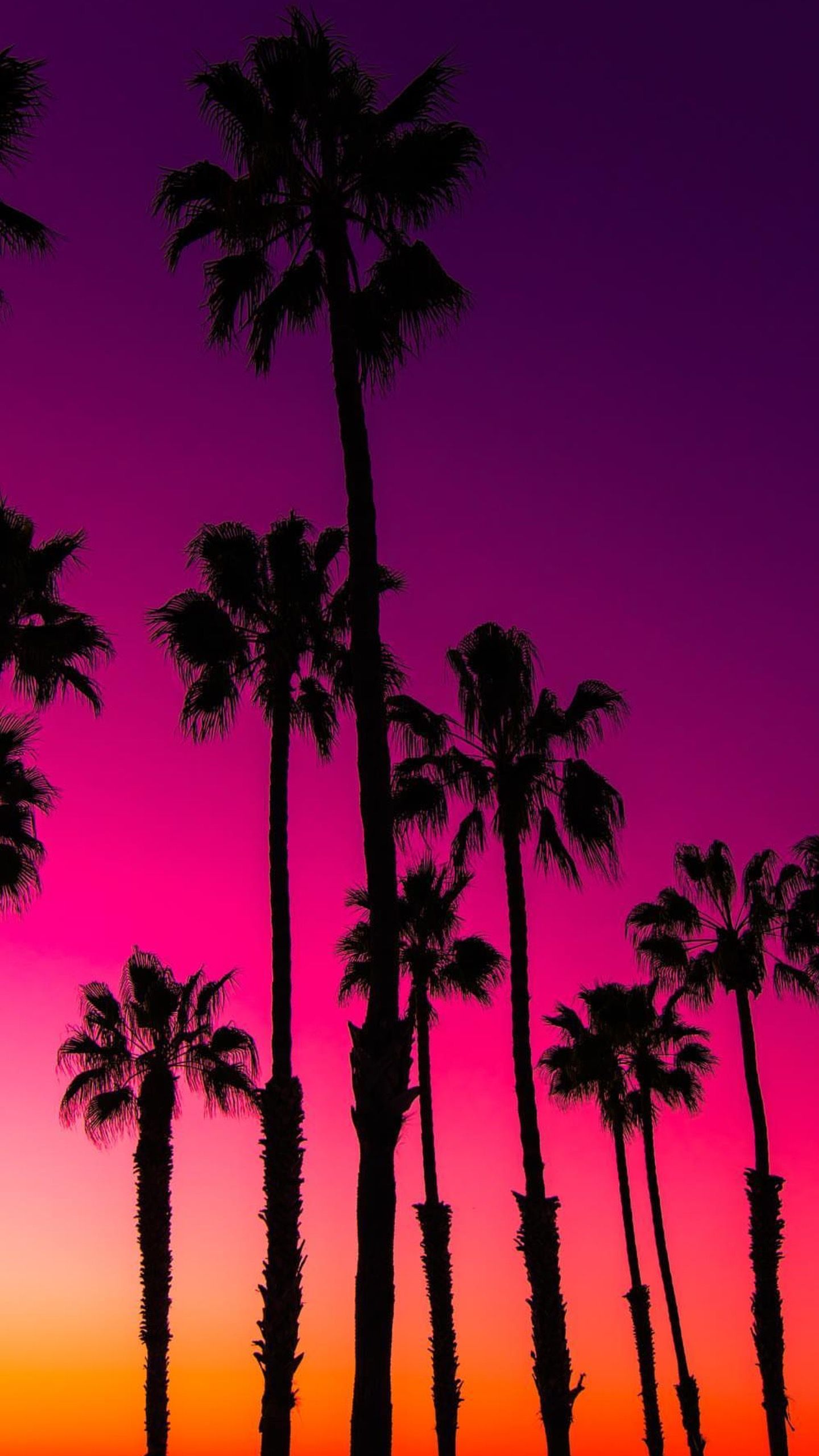 1440x2560  Обои для телефона в HD качестве | Sunset pictures, Beautiful sunset  pictures, Cool pictures of nature