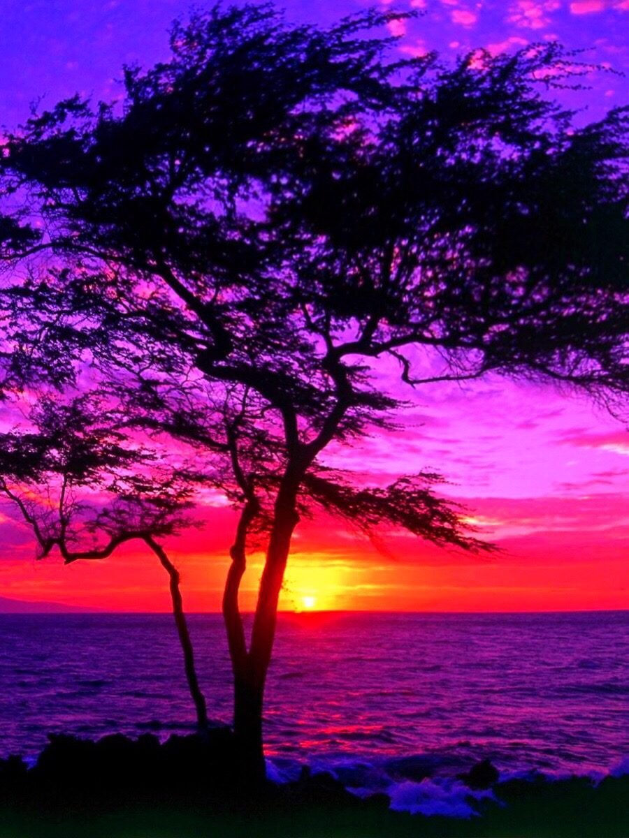 900x1200  Фиолетовый закат - 60 фото