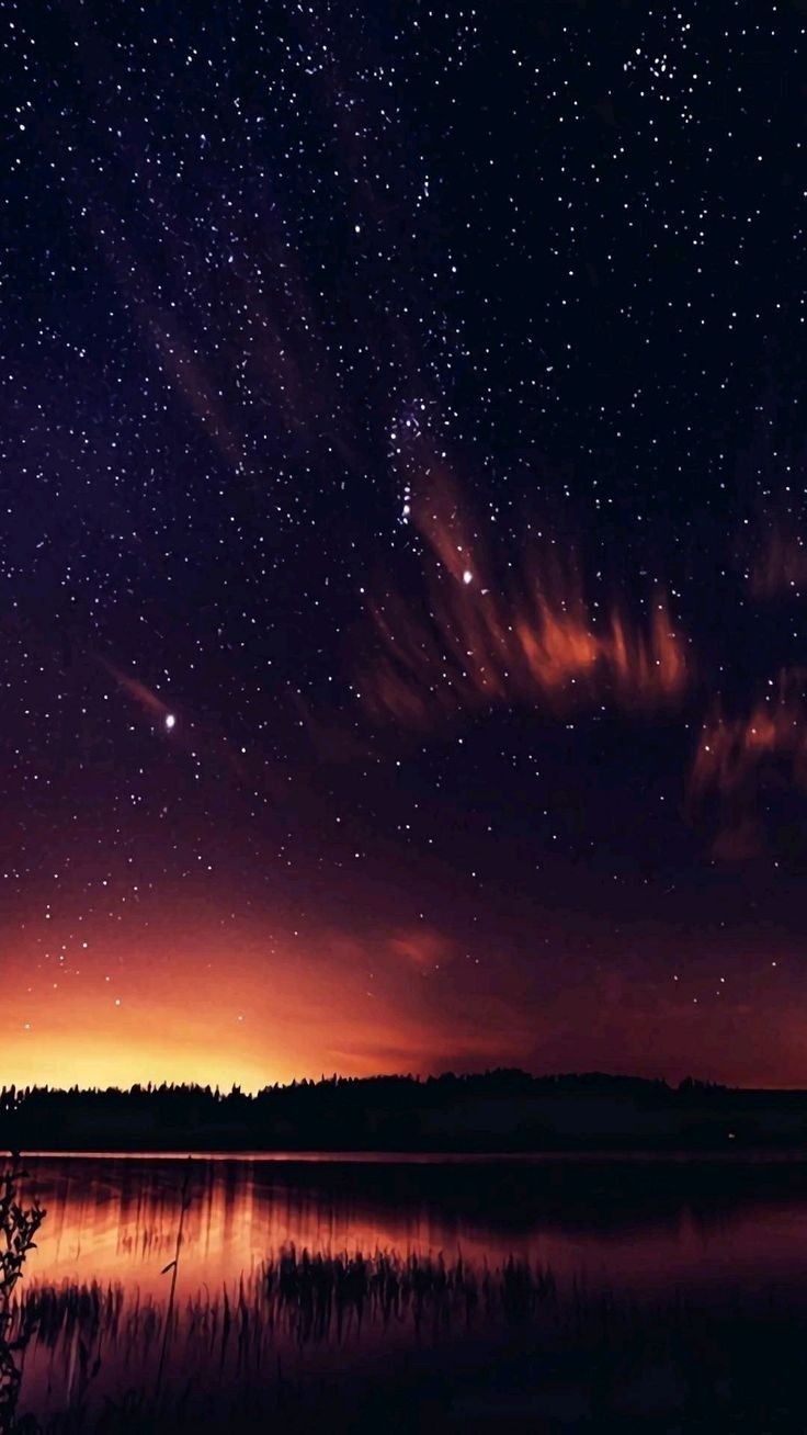 736x1308  Постер / Плакат / Картина Ван Гог - Звездная ночь ПростоПостер 17306376  купить за 1 087 ₽ в интернет-магазине Wildberries