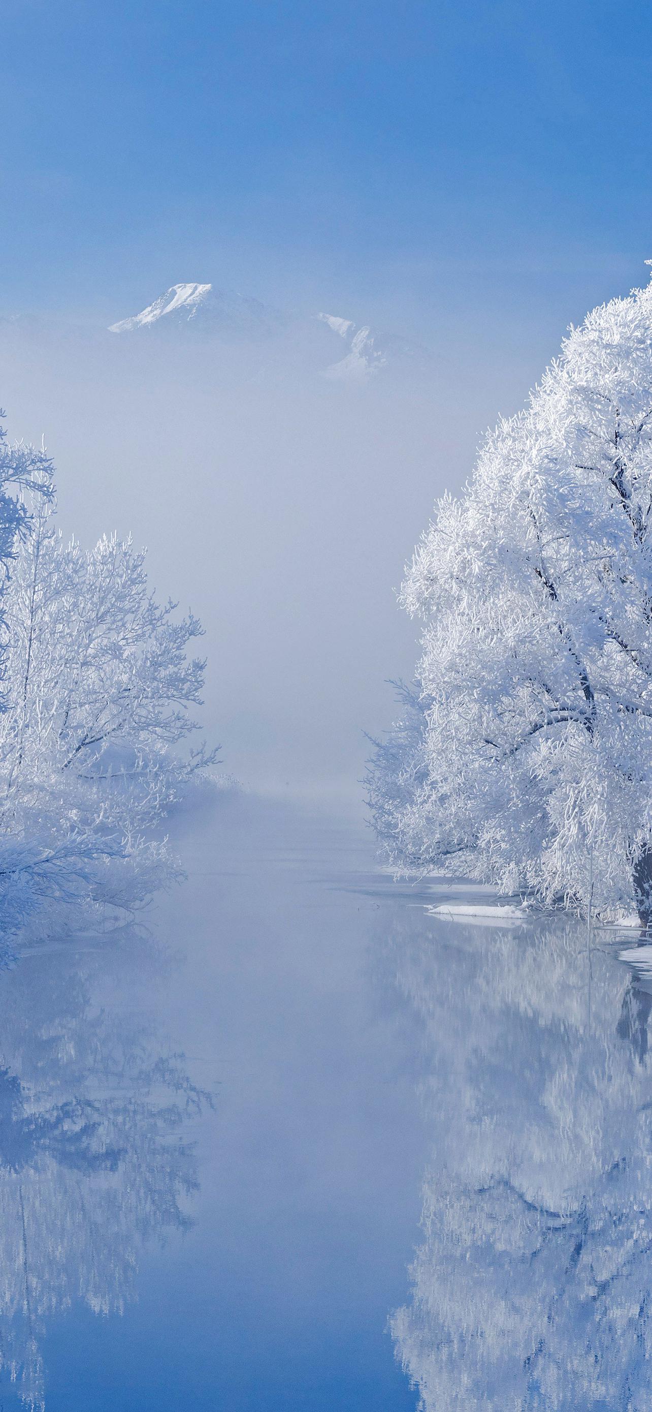 1284x2778  Зимние 4к обои на телефон [36+ изображений]