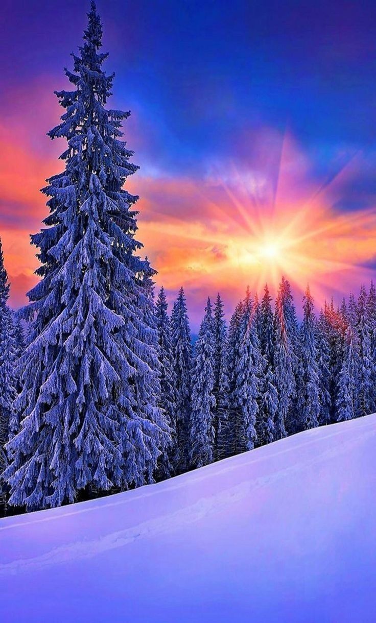 736x1220  Картинки на телефон зимняя сказка (65 фото) » Фоны и обои для рабочего  стола. Картинки для заставки на телефон