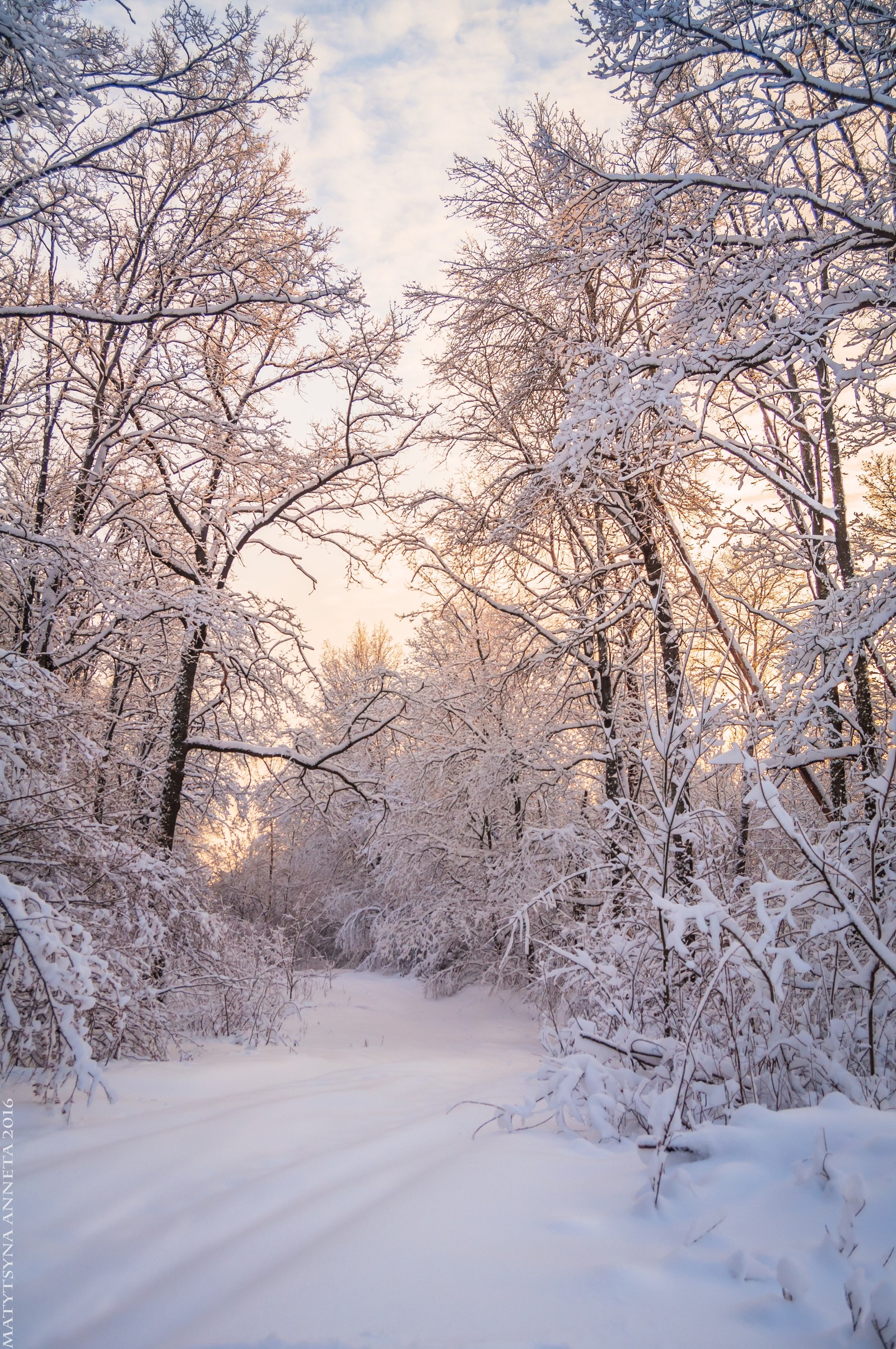 1600x2408  Iphone Christmas, New Year | Christmas wallpaper, Christmas phone wallpaper,  Xmas wallpaper