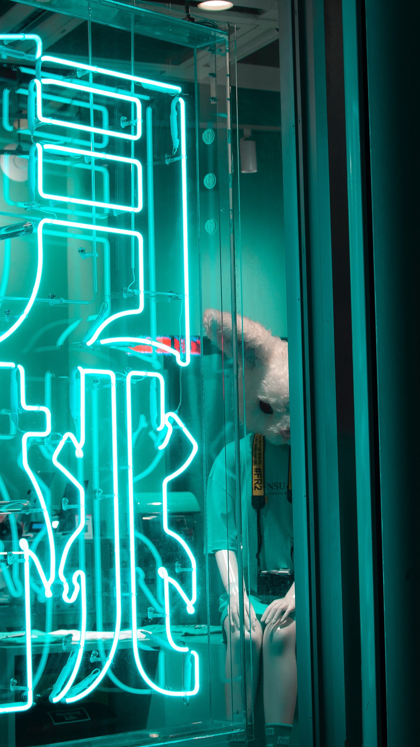 1440x2560  Скачать обои \"Иероглифы\" на телефон в высоком качестве, вертикальные  картинки \"Иероглифы\" бесплатно