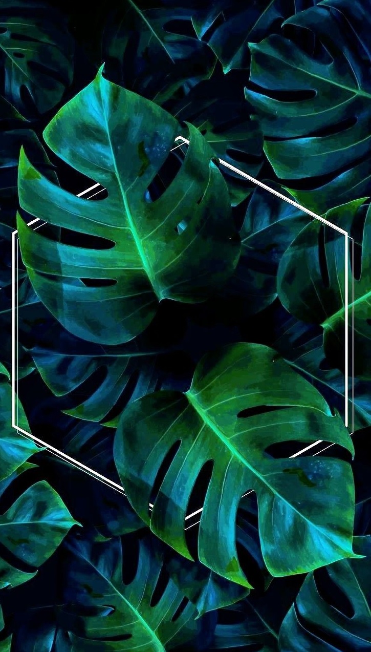 725x1273  Темно Зеленые обои на телефон (27 фото)