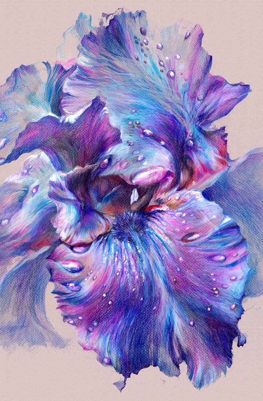 919x1400  Ирис - натуральный холст на заказ в интернет магазин arte.ru. Заказать обои  Ирис (18408)