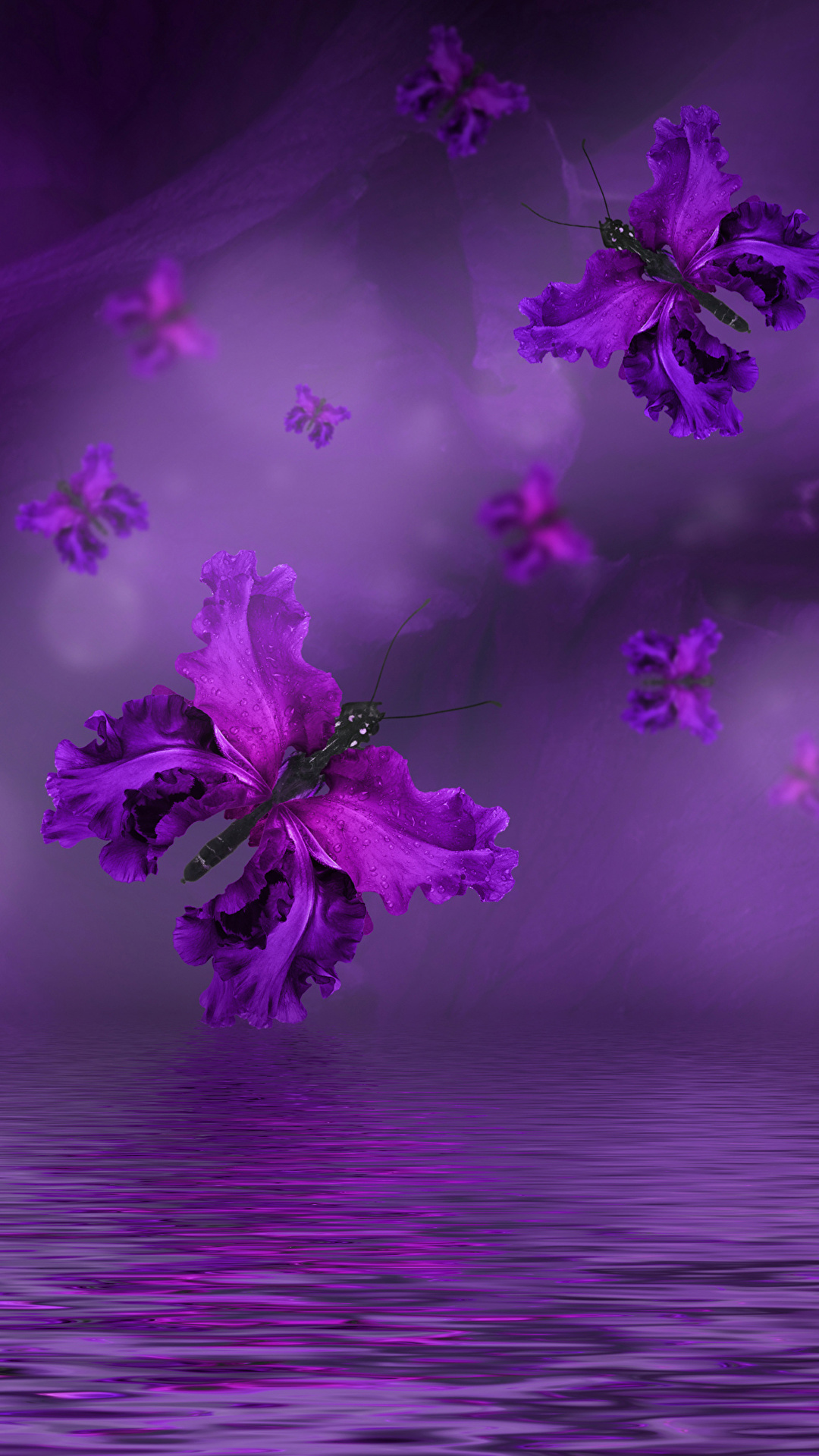 1080x1920  Фото Бабочки фиолетовые Ирисы Цветы Вода 1080x1920