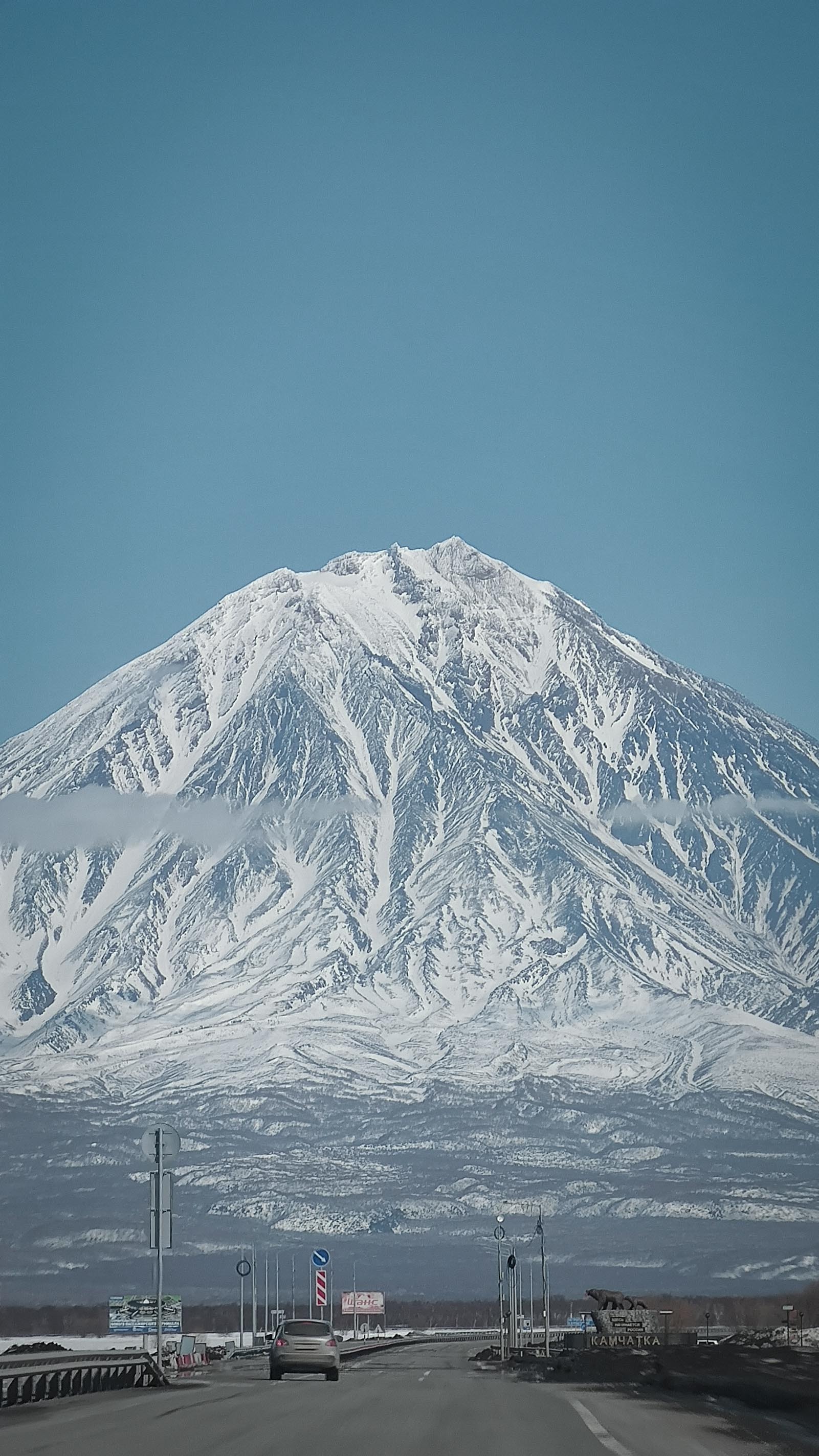 1601x2847  Огненная лиса с Камчатки - Описание, особенности, образ жизни и среда  обитания