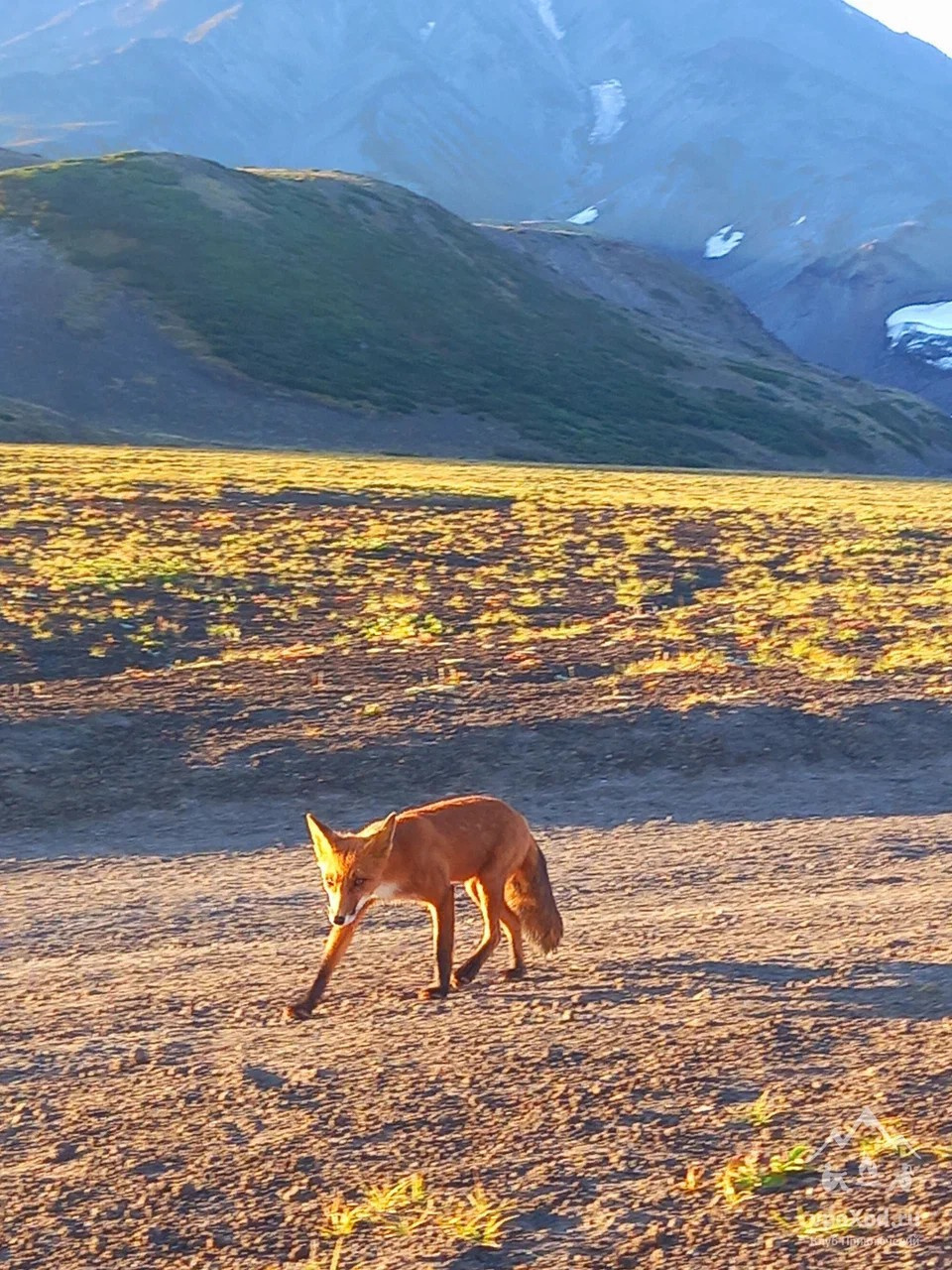 960x1280  Анна Елисеева /Живу в лесу/ (@_anyuta_eliseeva) • Instagram photos and  videos