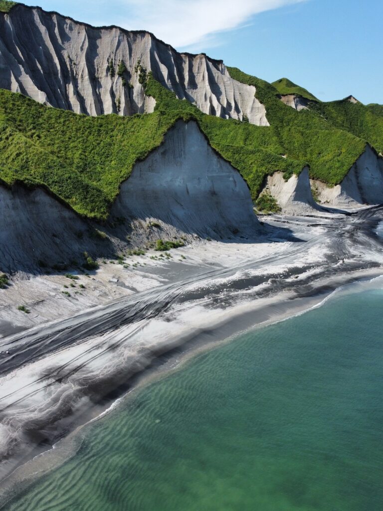 768x1024  Гибрид касатки и дельфина (72 фото) - красивые фото и картинки pofoto.club