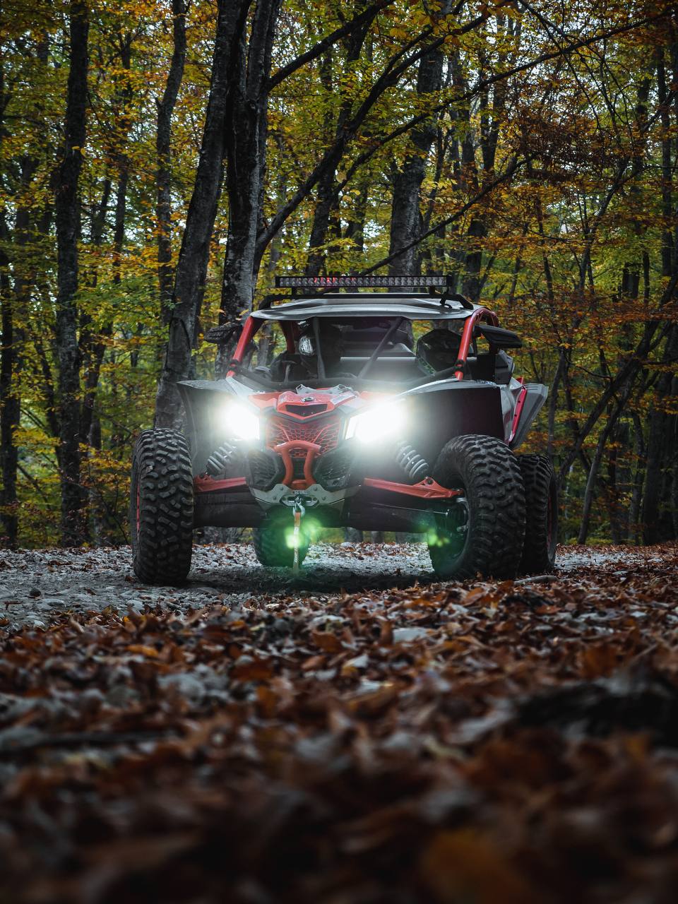 960x1280  Викторина. Мир животных — играть онлайн бесплатно на сервисе Яндекс Игры