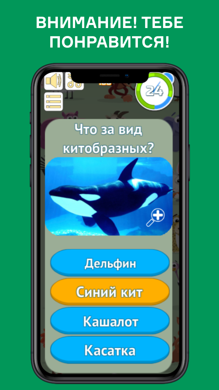 720x1280  Дельфин обои на телефон - 63 фото