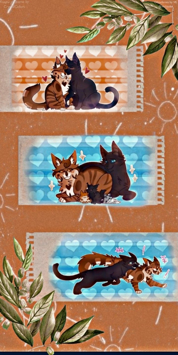 720x1439  Краска интерьерная для обоев OZON-2 ВД-АК-222СМ-12 С (бесцветная) 9л  морозостойкая - купить оптом у производителя в Екатеринбурге по низким  ценам | Лакокрасочный завод ОЗОН