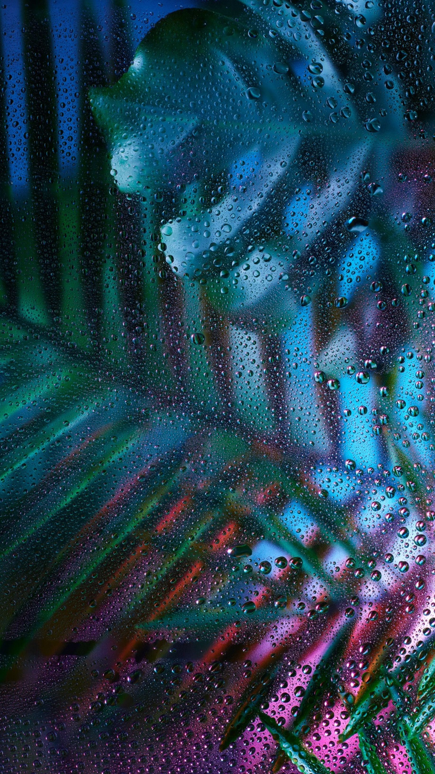 1836x3264  Кежуальные обои на телефон [4+ изображений]