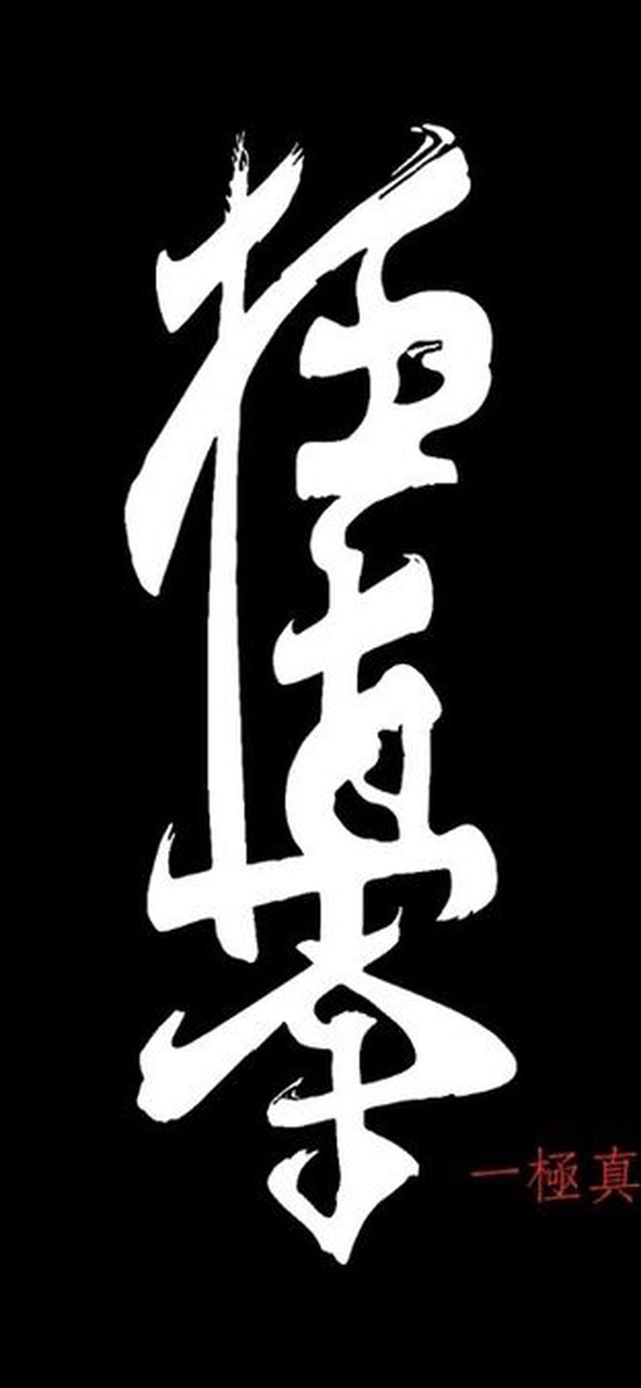 1284x2778  каратэ киокушинкай обои на телефон [26+ изображений]