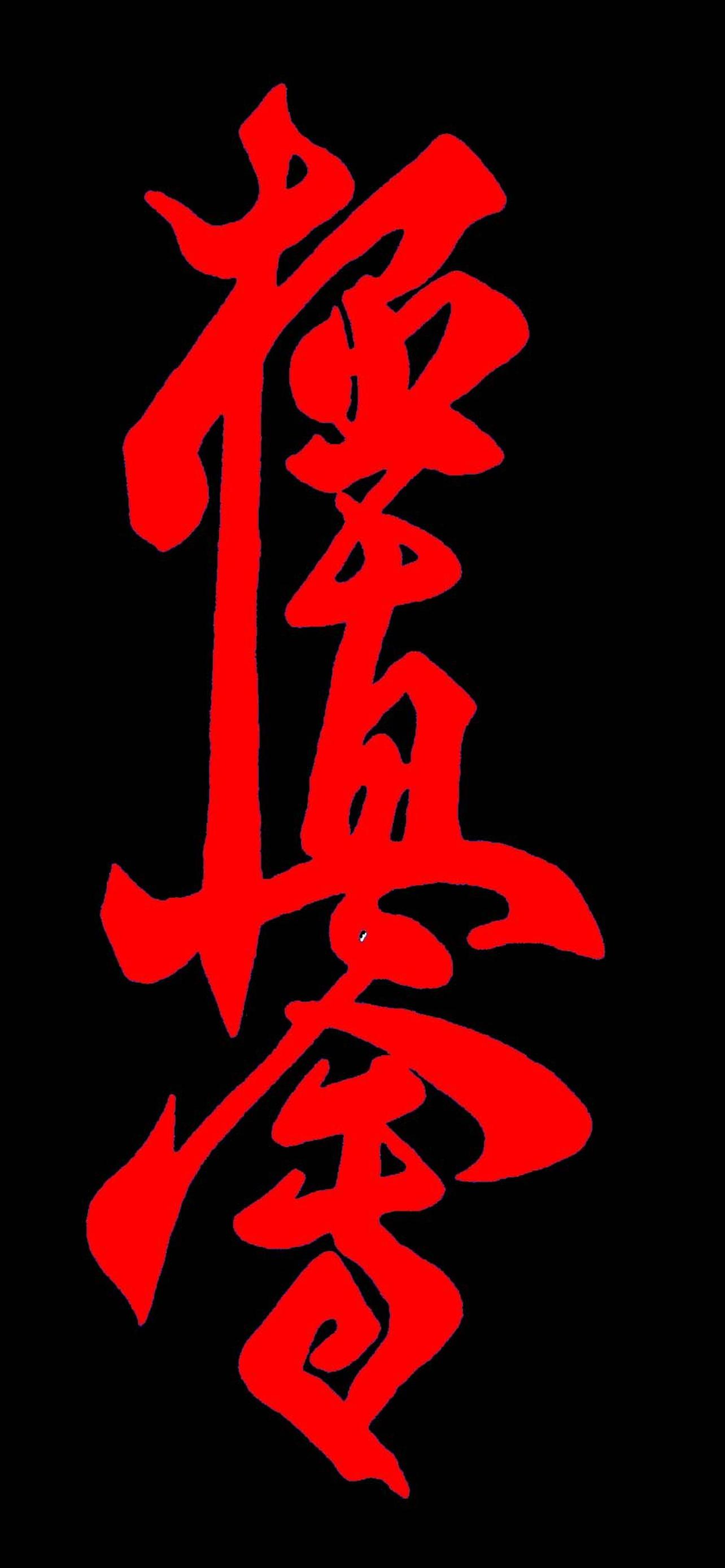 1284x2778  Каратэ обои на телефон [30+ изображений]