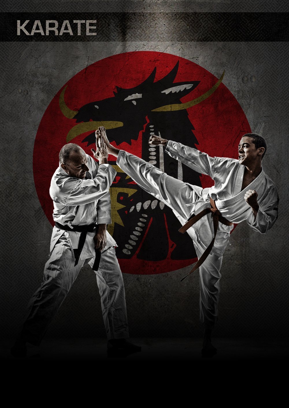 1000x1408  Каратэ киокушинкай обои - 72 фото