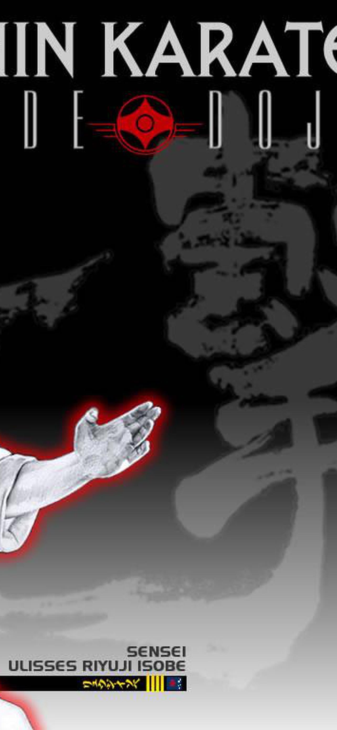1284x2778  каратэ киокушинкай обои на телефон [26+ изображений]