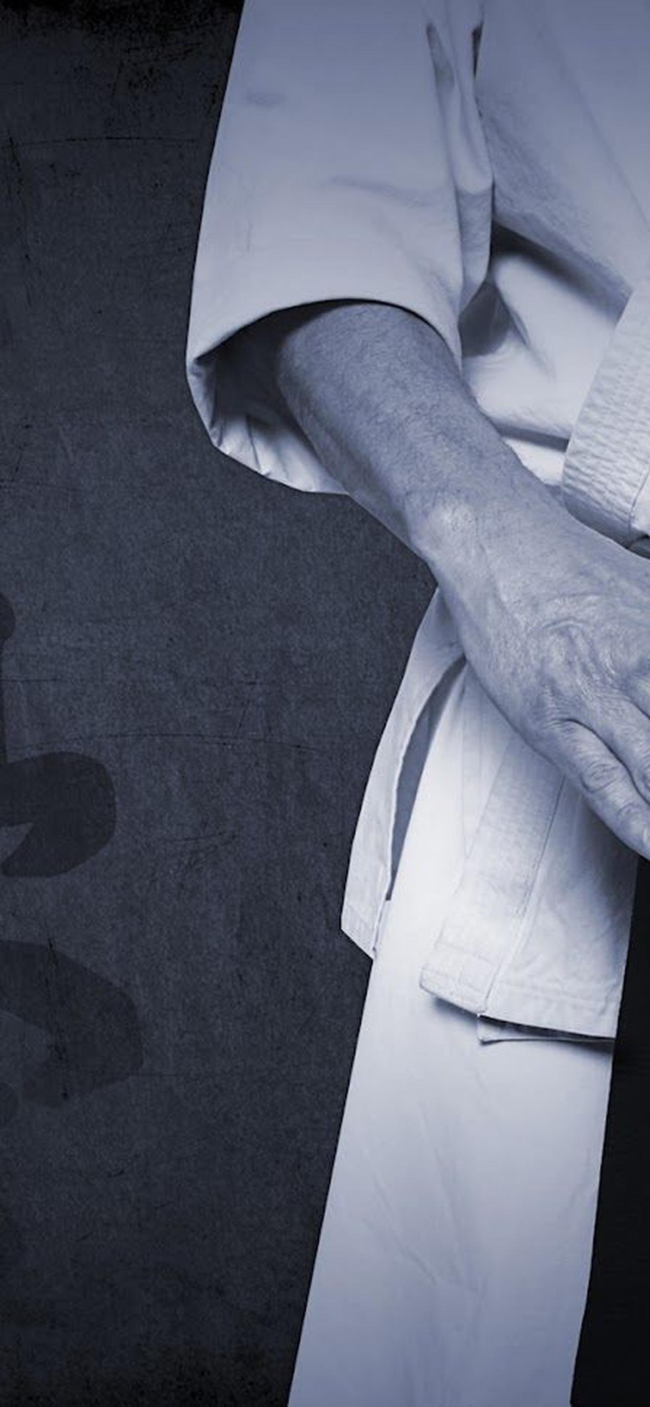 1284x2778  каратэ киокушинкай обои на телефон [26+ изображений]