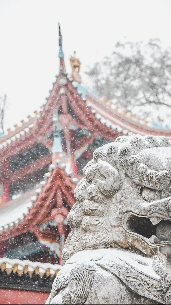 719x1280  Wallpaper Asian architecture | Древний китай, Зимние сцены, История китая