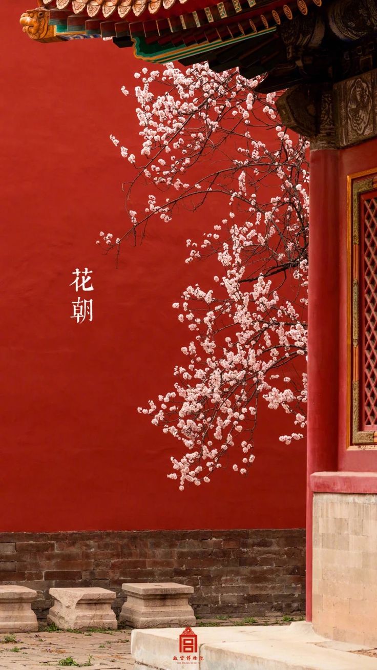 736x1308  Pin by Huyền Jin on View (REALITY) | Chinese background, Chinese wallpaper,  Chinese art