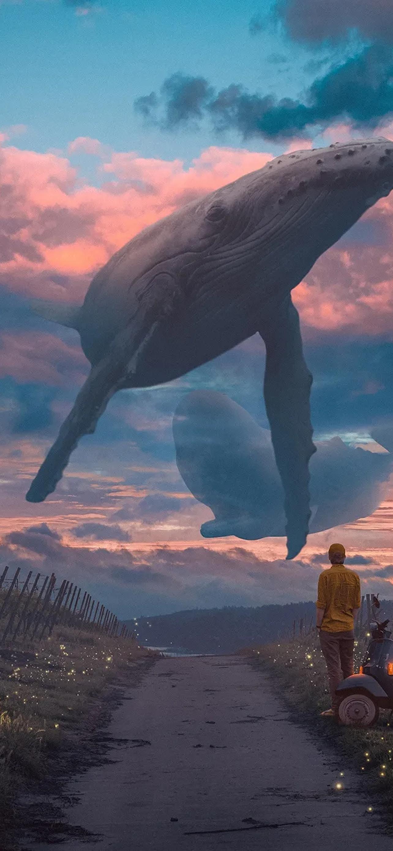 1284x2778  Киты в небе обои на телефон [26+ изображений]