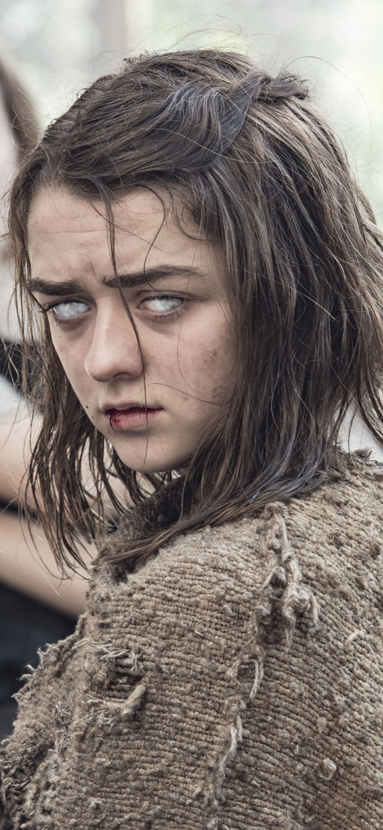 1242x2688   ✅ [45+] Maisie Williams HD Wallpapers (Фон рабочего стола / Android / iPhone) (1080p 4k) (1080x1800) (2020) 