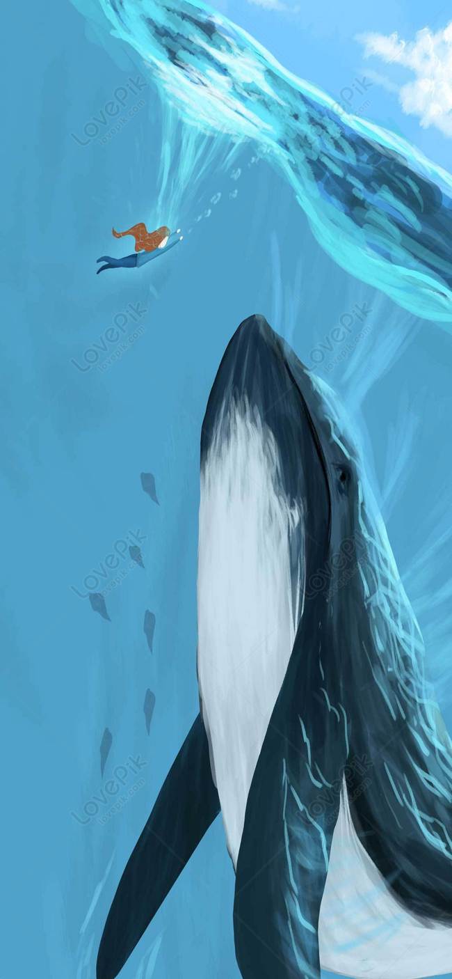 650x1406  Киты в небе обои на телефон [26+ изображений]