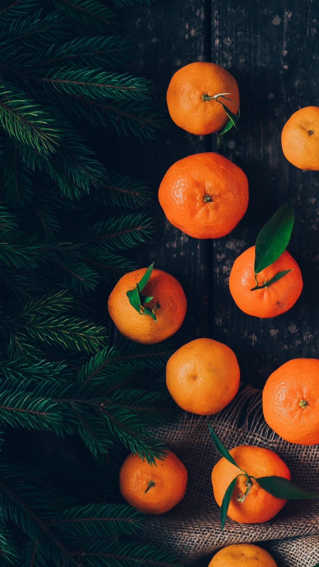 1080x1920  Обои телефон, андроид, пища, растение, Клементина на телефон Android,  1080x1920 картинки и фото бесплатно