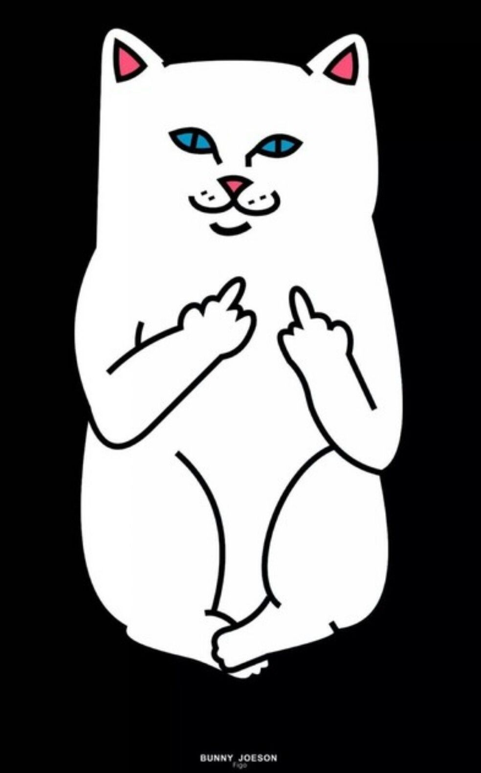 984x1581  Ripndip Cat | Iphone wallpaper cat, Ripndip wallpaper, Art wallpaper