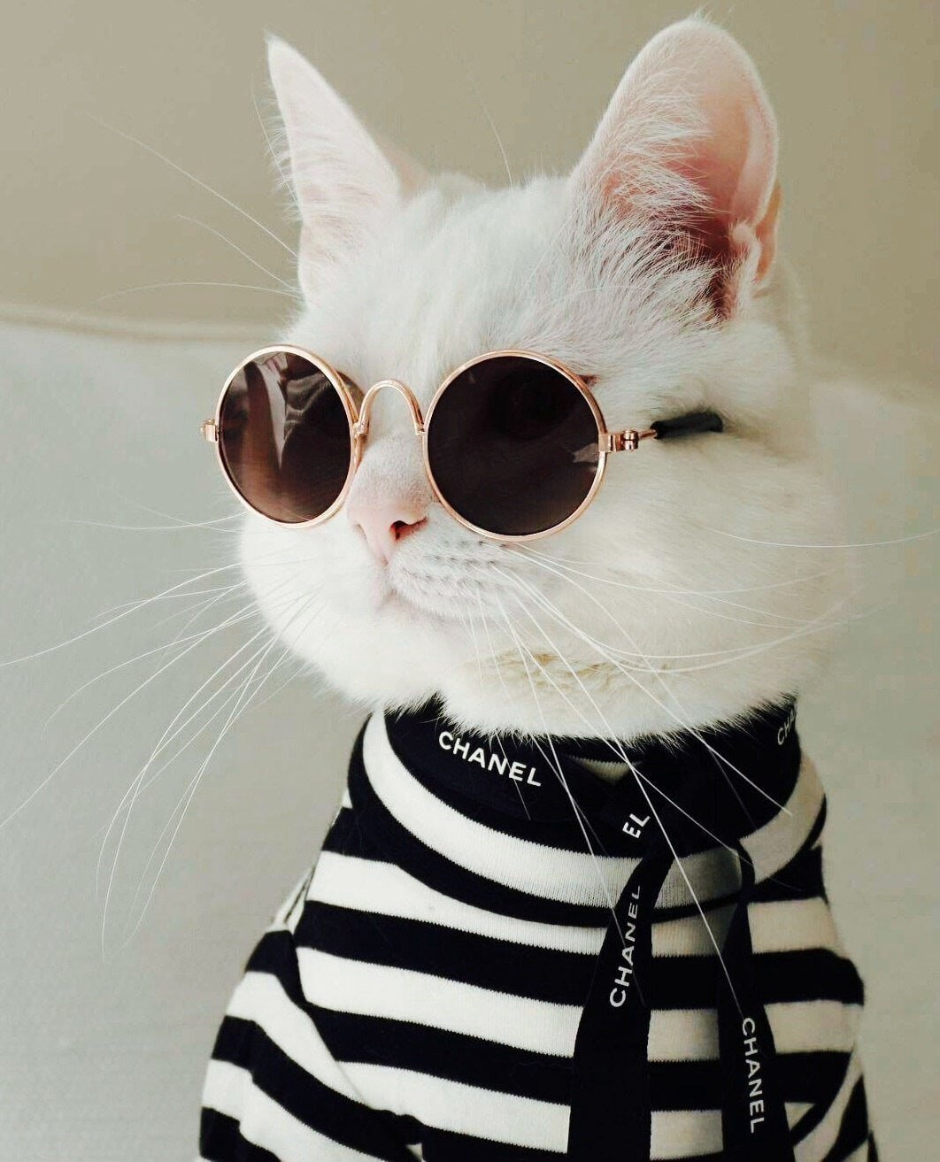 1062x1313  Кот с телефоном картинки - 64 фото