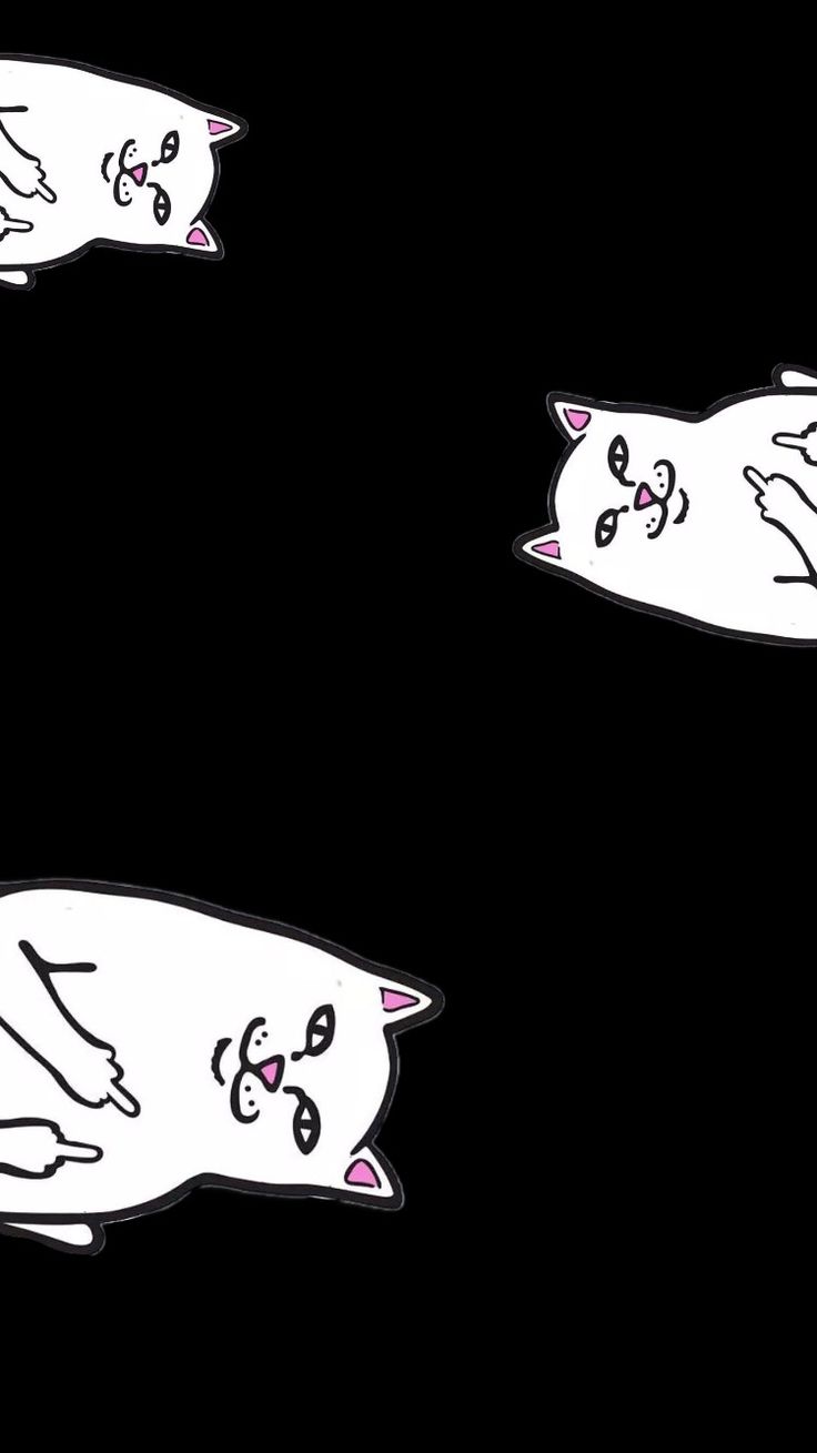 736x1309  10 个中指貓点子