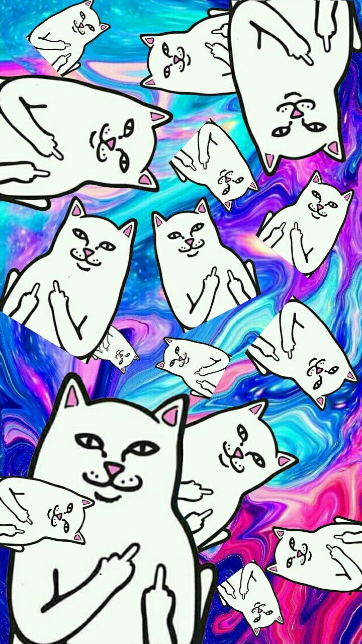 720x1280  900+ 个參考点子