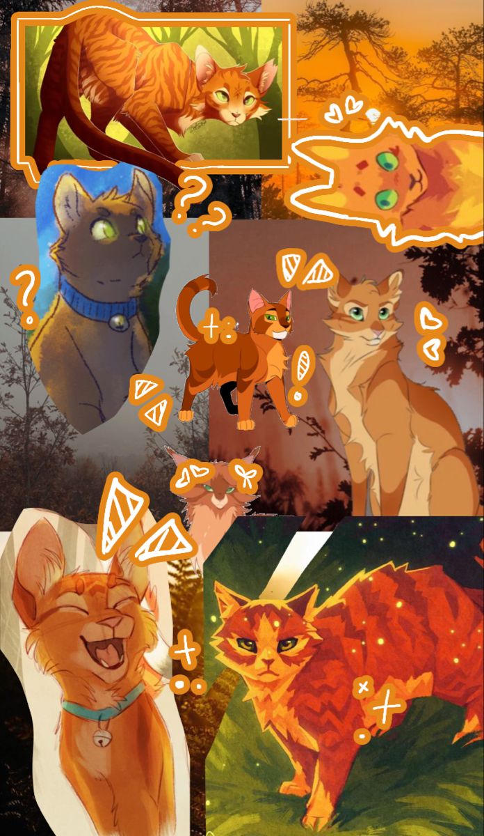 696x1200  Обои с огоньком 🧡🧡🧡 | Кот-воитель, Кошки воины, Милые рисунки