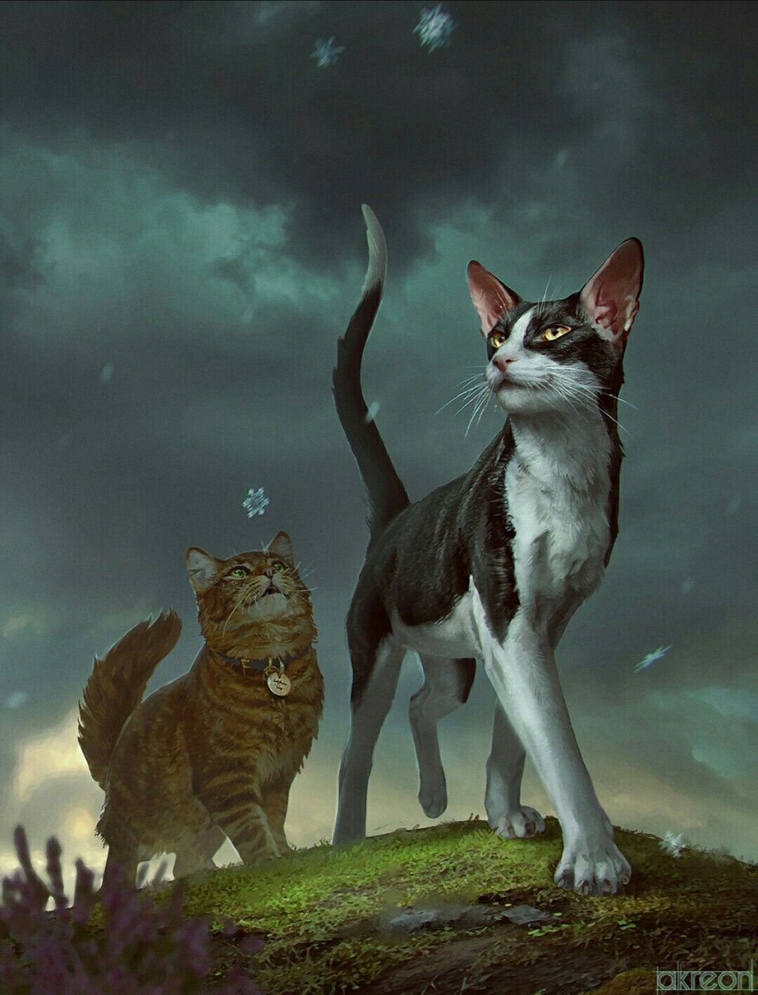 1080x1417  Jake and Talltail | Warrior cats series, Warrior cats art, Warrior cats  books