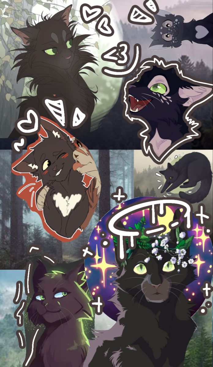 696x1200  Идеи на тему «Коты-Воители» (99) в 2023 г | кот-воитель, кошки воины,  кошачьи