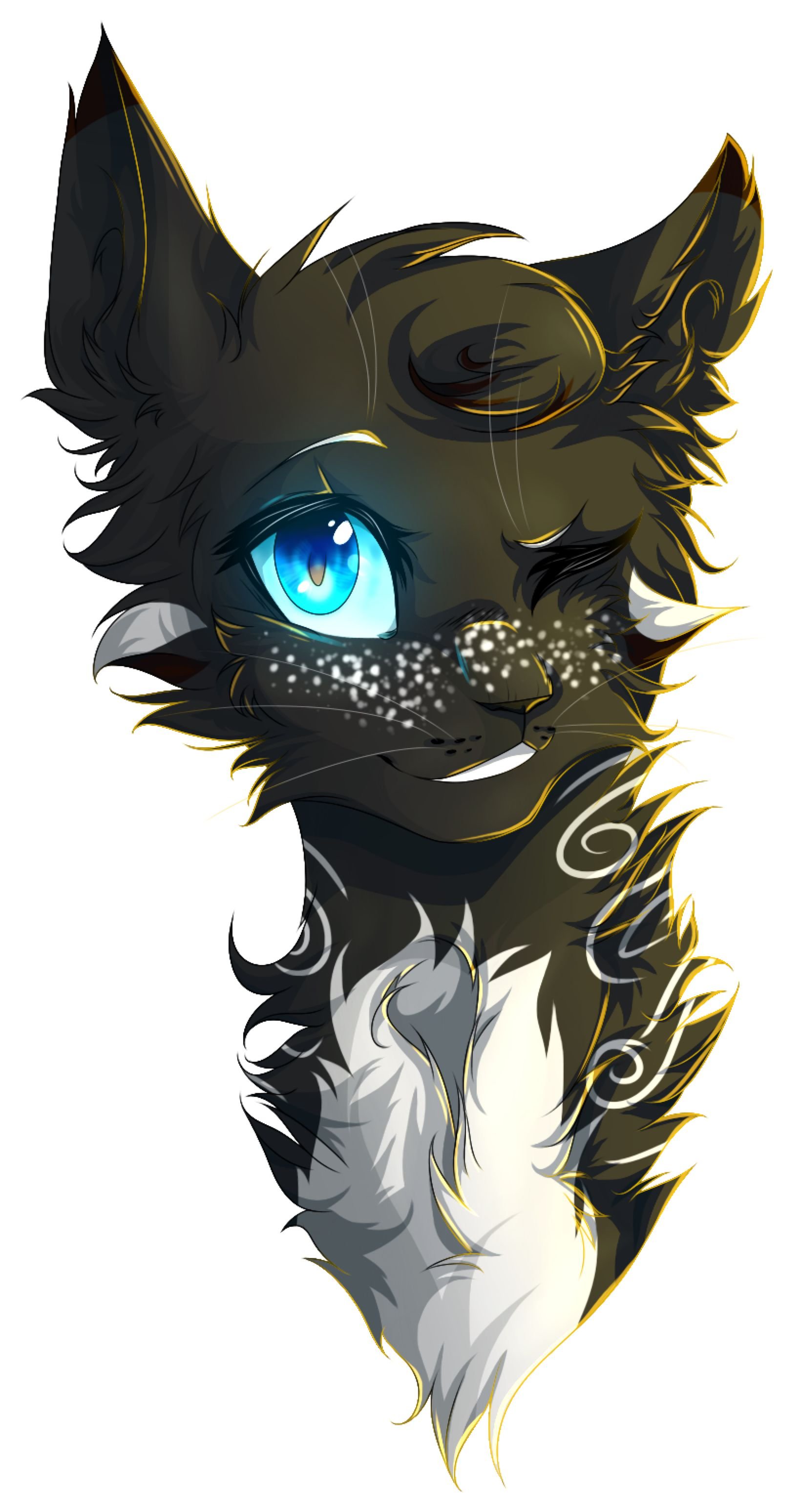 1638x3096  Коты Воители аниме - 63 фото